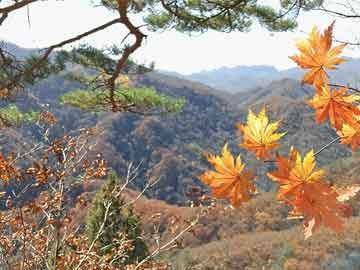 烟花之地！武威哪家KTV有公主-武威有公主最好玩的ktv前三大消费排名